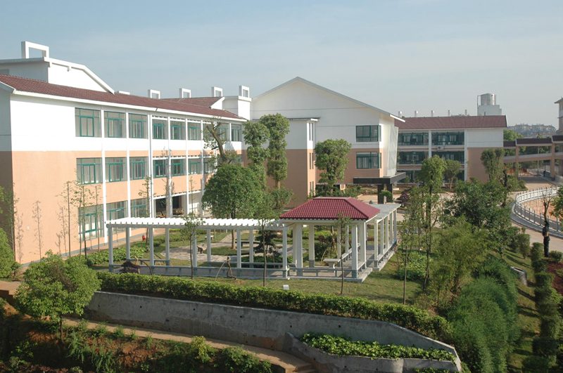 ������Ժ�ڻ���